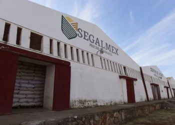 Sheinbaum promete esclarecer corrupción en Segalmex e Insabi