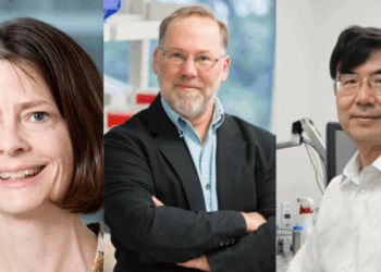 El Nobel de Medicina 2025 reconoce a científicos que revelaron cómo el sistema inmunitario se regula a sí mismo