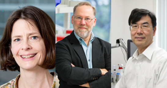 El Nobel de Medicina 2025 reconoce a científicos que revelaron cómo el sistema inmunitario se regula a sí mismo