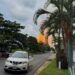Explosión frente al Complejo Cactus en Chiapas causa alarma, sin víctimas reportadas