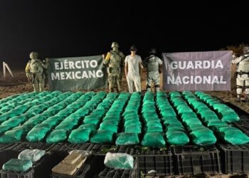 Aseguran en Sonora un tractocamión con más de una tonelada de drogas ocultas en cajas de chile
