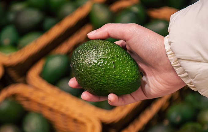 Michoacán busca reconocer al aguacate como producto con denominación de origen