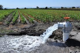 Conagua instala módulos en todo México para renovar concesiones de agua del campo