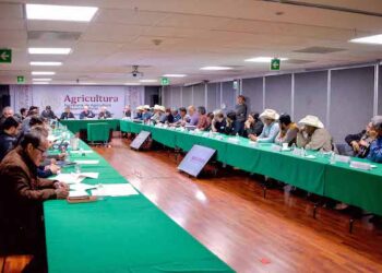 Acuerdos entre gobierno, productores y transportistas ponen fin a bloqueos carreteros