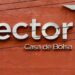 CNBV retira permisos a Vector y avanza su salida del mercado financiero