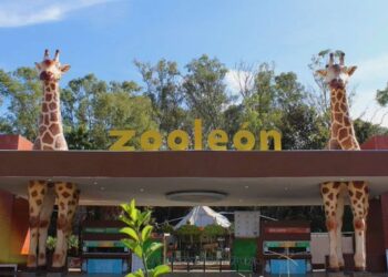 Suspenden actividades en el Zoológico de León tras muertes de especies en cautiverio