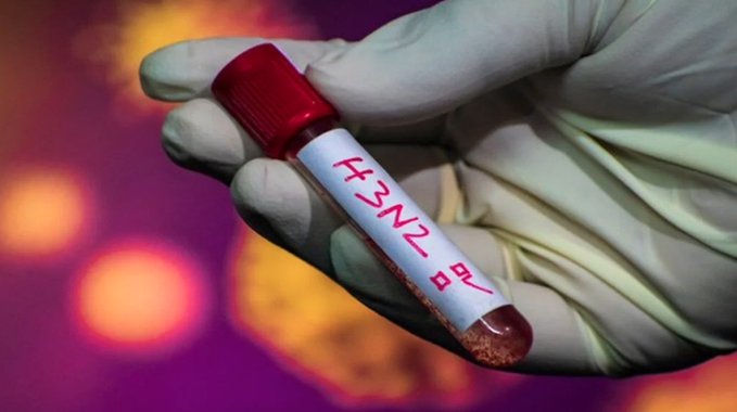 Influenza H3N2 subclado K: lo que significa su detección en México