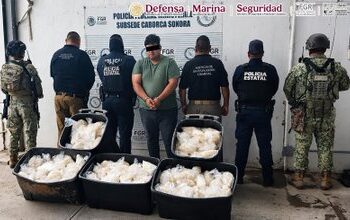 Operativo en Sonora permite decomisar 200 kilos de metanfetamina y detener a un conductor