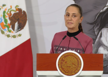 Plan contra el sargazo, libertad de expresión y política: los anuncios de Sheinbaum
