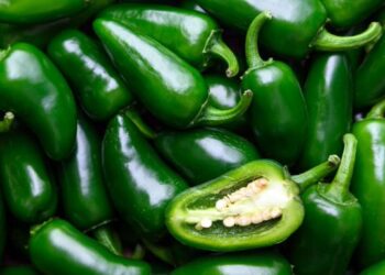 Estados Unidos intensifica investigación por salmonela relacionada con jalapeños mexicanos