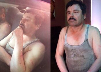 Revelan qué dijo El Chapo tras ser capturado en Los Mochis en 2016