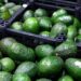 Alerta de seguridad detiene temporalmente la exportación de aguacate de Michoacán a EU