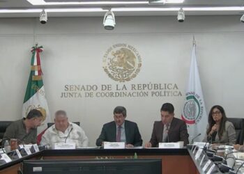 Reforma en Senado busca sancionar el uso indebido de identidad gráfica de instituciones públicas