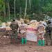 Operativo federal golpea producción de metanfetamina de Los Chapitos en Sinaloa