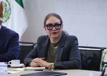 Renuncia titular de la Secretaría Ejecutiva del INE previo al arranque del proceso electoral