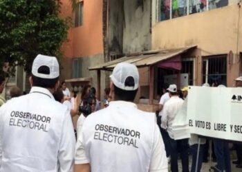 TEPJF determina que el INE debe comprobar requisitos de observadores electorales