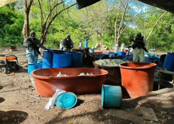 Inhabilitan cuatro laboratorios clandestinos y aseguran toneladas de precursores químicos
