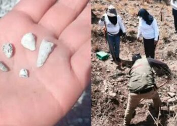 Hallazgo en Zacapu: reportan mil 600 dientes de leche en predio bajo investigación
