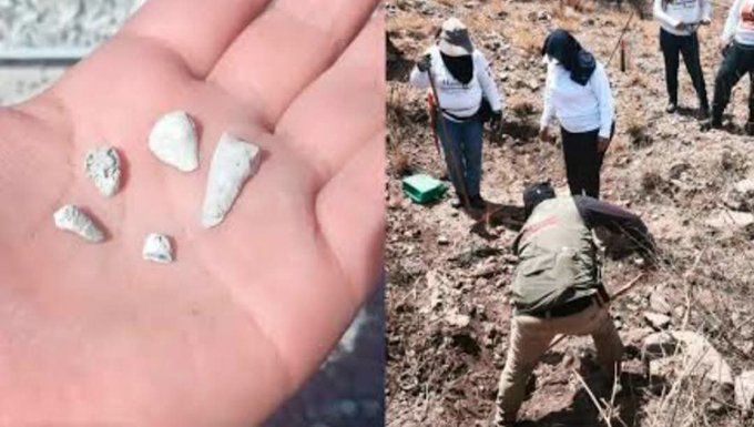 Hallazgo en Zacapu: reportan mil 600 dientes de leche en predio bajo investigación