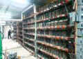 Investigan granja clandestina de criptomonedas tras hallazgo de 300 equipos en Puebla