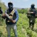 Departamento de Estado de EU plantea ofensiva más agresiva contra cárteles mexicanos