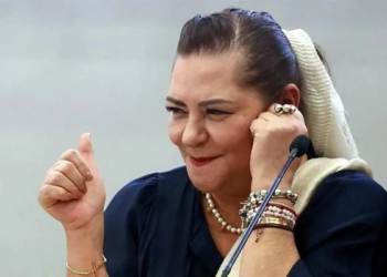 Guadalupe Taddei descarta renunciar mientras piden investigar contratos del INE.
