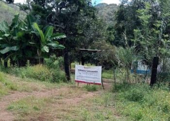 Investigan en Nayarit un predio con restos humanos y una presunta zona de incineración