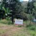 Investigan en Nayarit un predio con restos humanos y una presunta zona de incineración