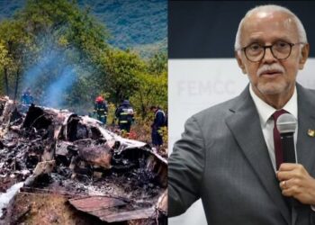 Avioneta usada por Miguel Ángel Navarro se desploma en Nayarit; investigan posible atentado